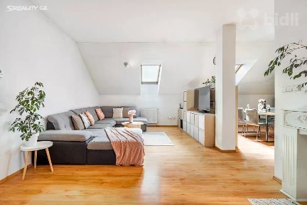 Černý Důl, Trutnov, Fořt