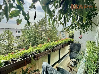 Kadaň, Chomutov, Husova