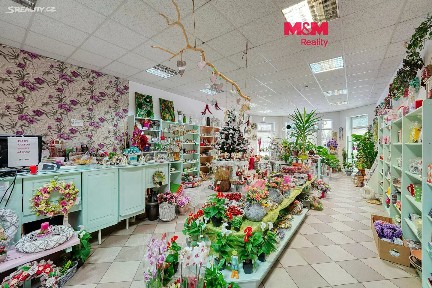 Pronájem obchodního prostoru 133 m²