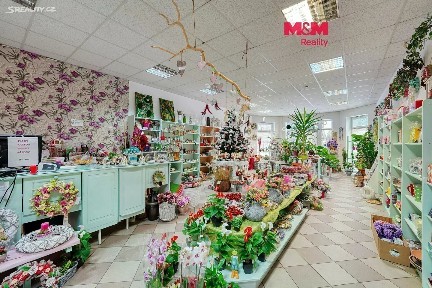 Pronájem obchodního prostoru 133 m²
