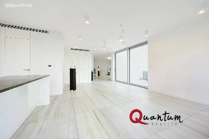 Pronájem bytu 1+kk 100 m² Na usedlosti, Praha - Braník