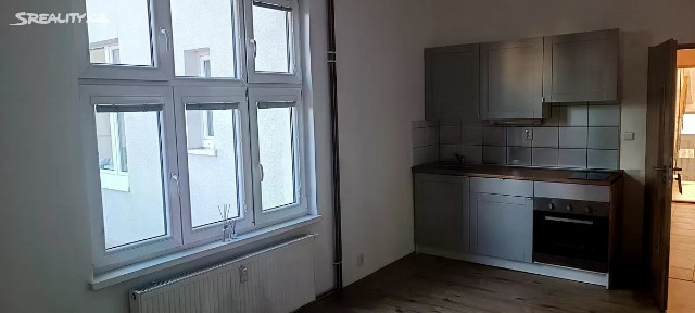 Teplice, Jana Koziny