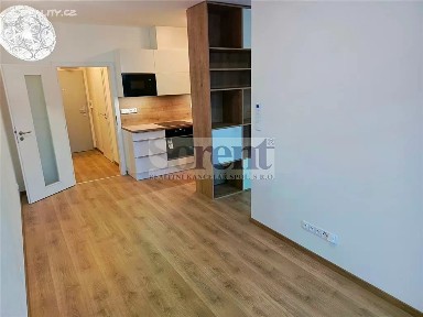 Pronájem bytu 1+kk 47 m² Riegrova, České Budějovice - České Budějovice 3