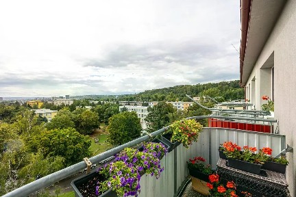 Prodej bytu 2+1 52 m² Poděbradská, Praha - Hloubětín