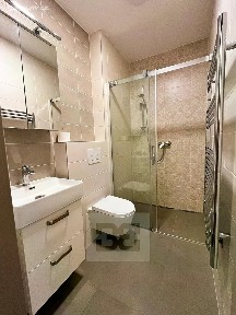 Pronájem bytu 1+kk 28 m² Živnostenská, Plzeň - Lobzy