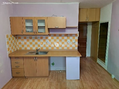 Prodej bytu 1+kk 20 m² B. Smetany, Kraslice