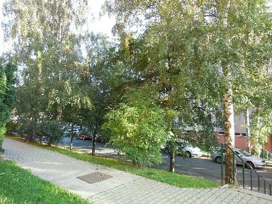 Pronájem bytu 1+1 45 m² Italská, Prachatice - Prachatice II