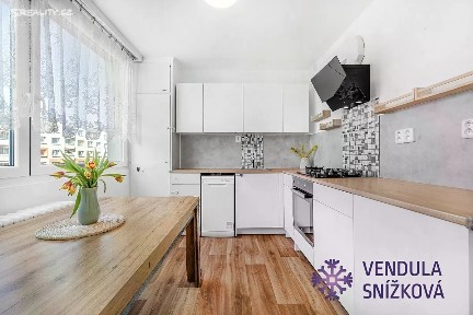 Pronájem bytu 3+kk 65 m² U Stadionu, Mladá Boleslav - Mladá Boleslav II