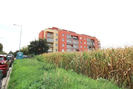 Pronájem bytu 1+kk 38 m² A. M. Jelínka, Kolín - Kolín II