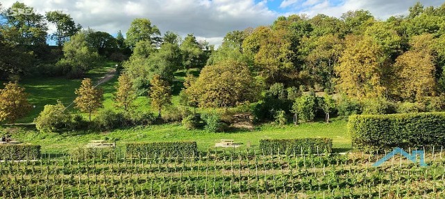 Pronájem bytu 2+kk 44 m² Tachovské náměstí, Praha - Žižkov