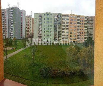 Prodej bytu 1+1 35 m² M. Horákové, České Budějovice - České Budějovice 2