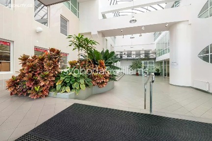 Pronájem kanceláře 1806 m² Olomoucká, Brno - Židenice