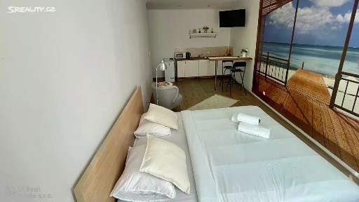Pronájem bytu 1+kk 27 m² Truhlářská, Praha - Nové Město