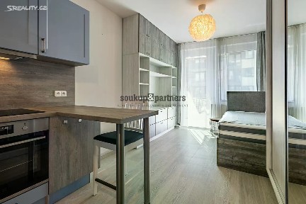 Pronájem bytu 1+kk 29 m² Vítové, Praha