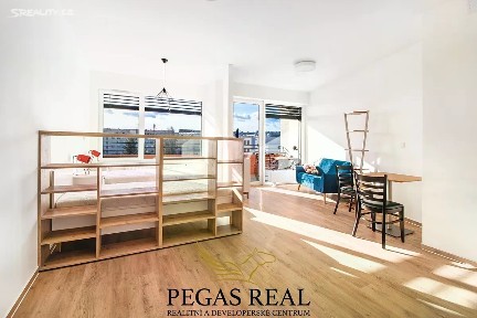 Pronájem bytu 1+1 46 m² Křídlovická, Brno - Staré Brno