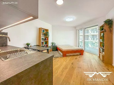 Pronájem bytu 1+kk 31 m² Ramonova, Praha - Strašnice