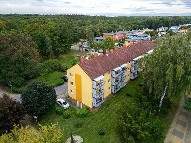 Rybitví, Pardubice, Školní