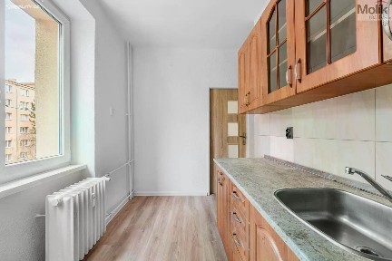 Most, Maxe Švabinského