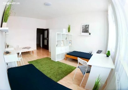 Pronájem bytu pokoje 15 m² Hvězdová, Brno - Zábrdovice