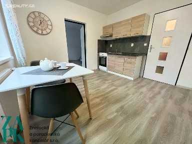 Pronájem bytu 1+1 38 m² Purkyňova, Ústí nad Labem - Střekov