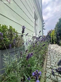 Pronájem bytu 2+1 69 m² Ruská, Dubí