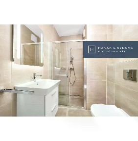 Pronájem bytu 1+kk 30 m² Chaloupkova, Brno - Královo Pole