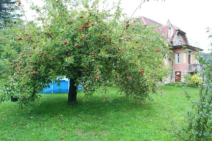 Pronájem bytu 2+kk 57 m² Smetanova, Řevnice