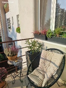 Prodej bytu 1+1 42 m² Čechova, Plzeň - Jižní Předměstí