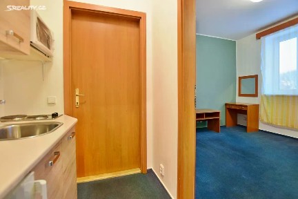 Pronájem bytu 1+kk 27 m² Horova, Brno - Žabovřesky