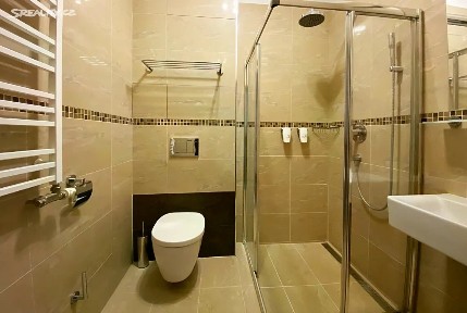 Pronájem bytu 1+kk 22 m² Francouzská, Brno - Zábrdovice