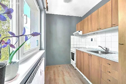 Pronájem bytu 1+kk 30 m² Braniborská, Milovice - Mladá
