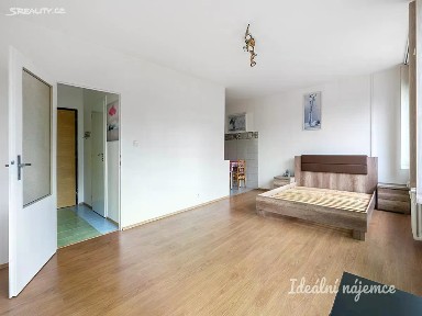 Pronájem bytu 1+kk 35 m² Tavolníková, Praha - Krč