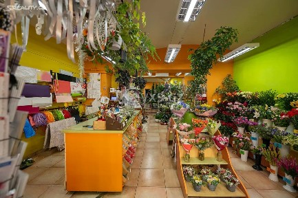 Praha, Praha 2, Vinohrady, Francouzská, 34