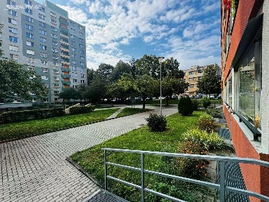 Pronájem bytu 1+1 42 m² Božetěchova, Brno - Královo Pole