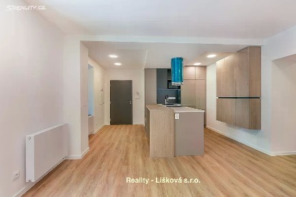 Pronájem bytu 1+kk 56 m² Bělehradská, Ústí nad Labem - Ústí nad Labem-centrum