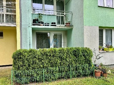 Borovany, České Budějovice, Budějovická