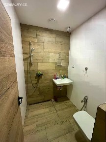 Pronájem bytu pokoje 13 m² Březina