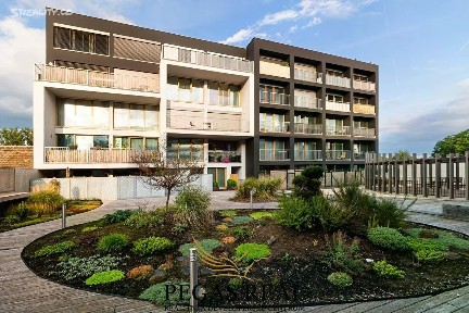 Brno, Brno-město, Královo Pole, Košinova