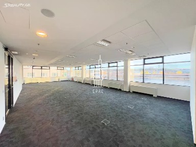 Praha, Praha 7, Holešovice, Argentinská