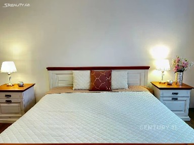 Pronájem bytu 1+1 46 m² Veletržní, Praha - Holešovice