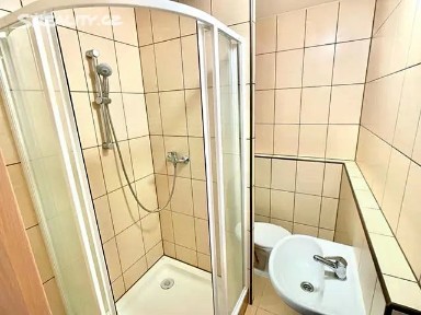 Pronájem bytu 1+kk 22 m² Ladova, Ústí nad Labem - Severní Terasa