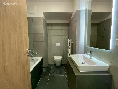 Pronájem bytu 1+kk 35 m² Hasičská, Ostrava - Hrabůvka
