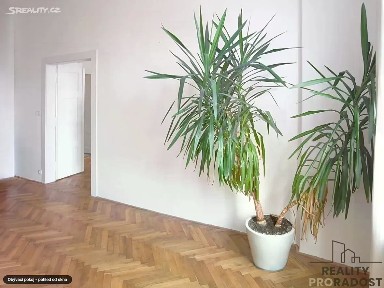 Pronájem bytu 3+1 100 m² Heřmanova, Praha - Holešovice