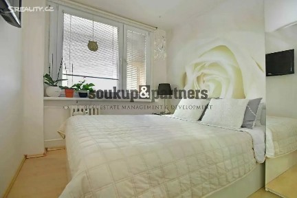 Pronájem bytu 2+kk 37 m² Vysočanská, Praha - Prosek