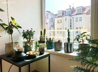 Praha, Praha 3, Žižkov, Žerotínova