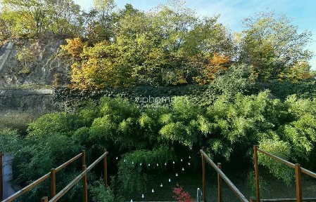 Praha, Praha 6, Bubeneč, Mlýnská