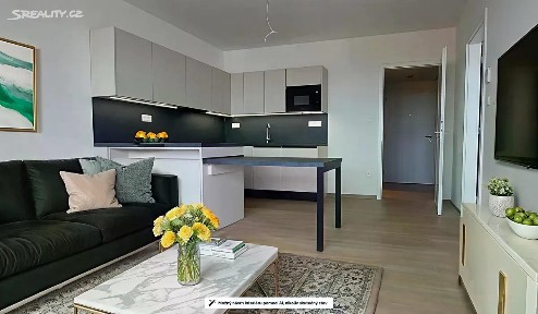 Pronájem bytu 2+kk 59 m² U Hájenky, Ostrava - Slezská Ostrava