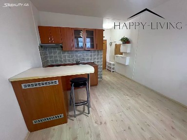 Pronájem bytu 1+kk 19 m² Sousedská, Plzeň - Lobzy