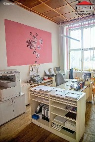 Prodej skladového prostoru 8650 m² Selbská, Aš
