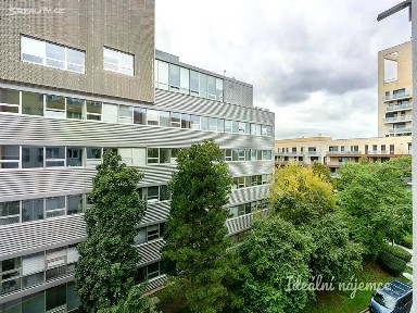 Pronájem bytu 1+kk 28 m² Jemnická, Praha - Michle